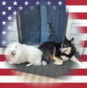 Meet your Posher, Bob